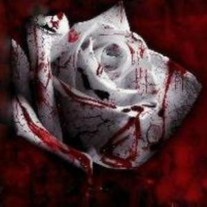 嗜血玫瑰