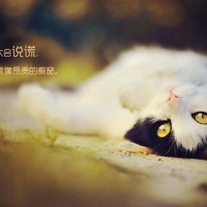 i329944855我