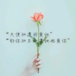 妲己再美终是妃