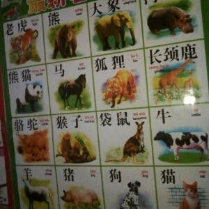 硕哥