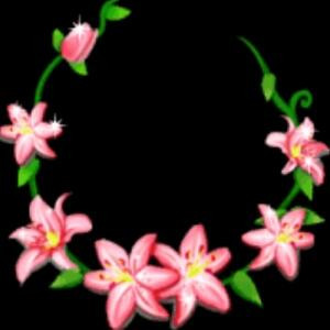 无忧花