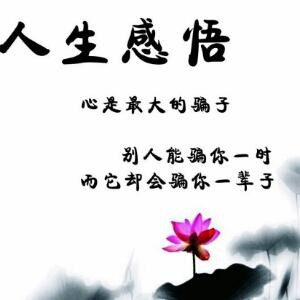 牵手、一路走