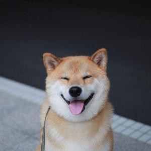 夏洛克畅神大人