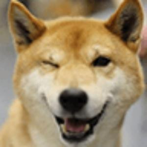铁血修罗