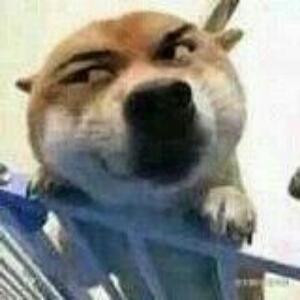 老兔子