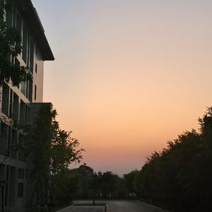 在天黑前等着你