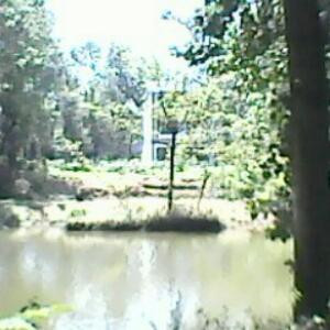 summer
