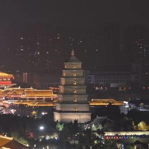 陇上神鹰