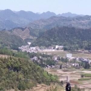 i杨师傅