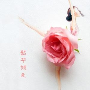 汲取从书
