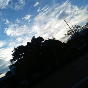 shine