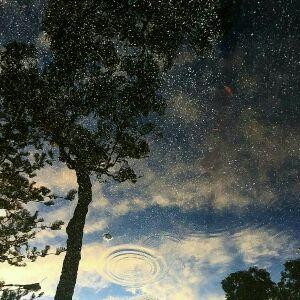 夏燚淼