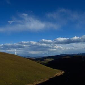 路过的一只蜻蜓