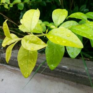 一鹿伴晗