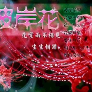 做自己就好