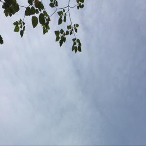 嗯我很矫情