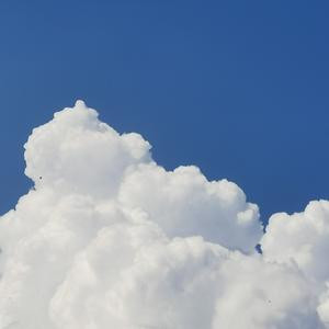 王一博未来女友