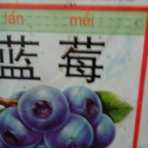 许你一世缘