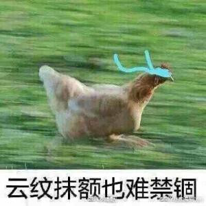 被丢了的雅正君