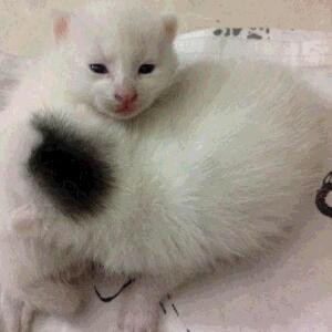 修改昵称