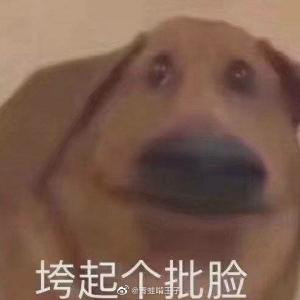 曙光