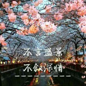 陌无双