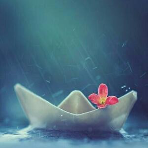 小雨淅淅