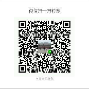 杨金龙