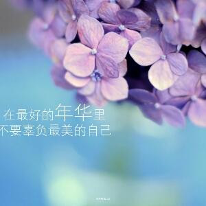 淡淡的忧伤