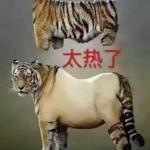 试着忘记