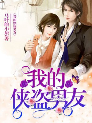 我的侠盗男友