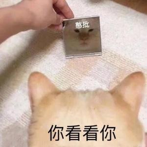 从不嘴臭