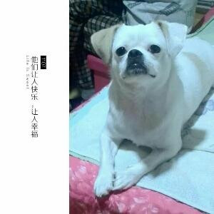 i973876102默默