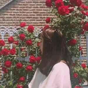 未央夏绕忆瑾凉