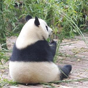 琳琅记