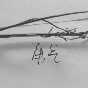 冷血