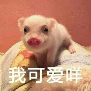 陆chichi