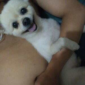 城儿