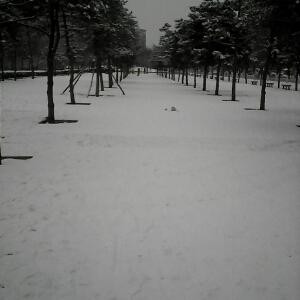 苹果国