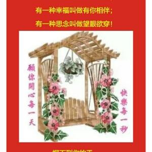 小宝宝大冒险