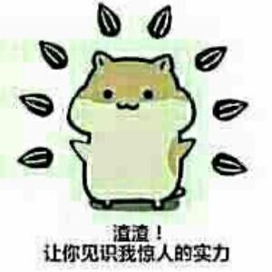 遗忘城南
