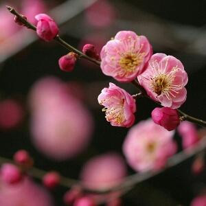 那个冬