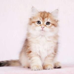 想做你的☞SUNshine☜