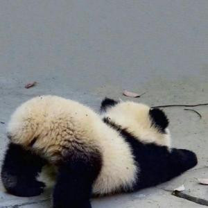 深渡以期