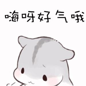 雨天的扇子