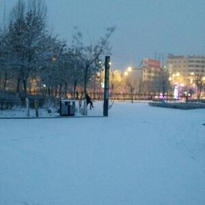 i10****1275