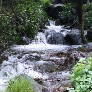 行于山水