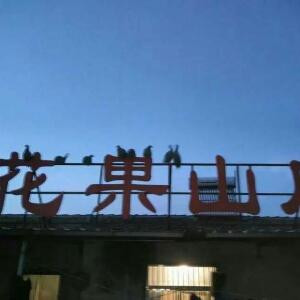 书虫