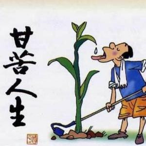半斤八两