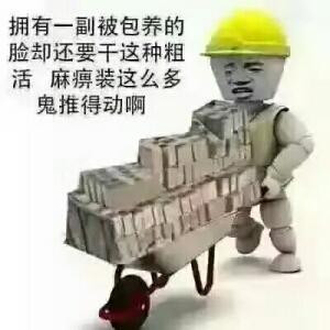纷飞白雪